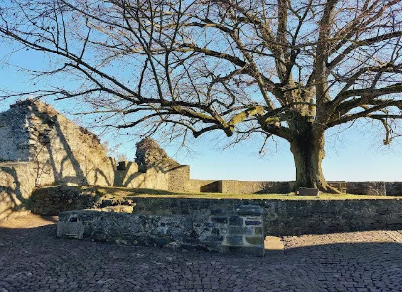 Burg Hohenburg (Schlossberg), Homberg, Germany, Germany